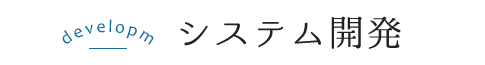 システム開発